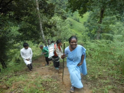 pastoralactivitiesMengio2