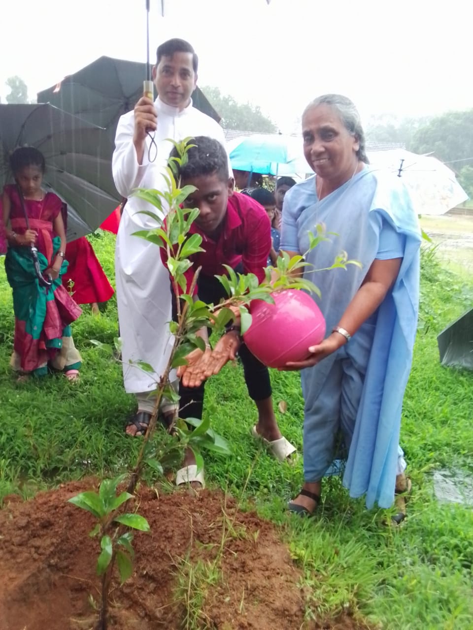 Planting Tomorrow: School's Vibrant Vanamahotsav 2025 Celebration