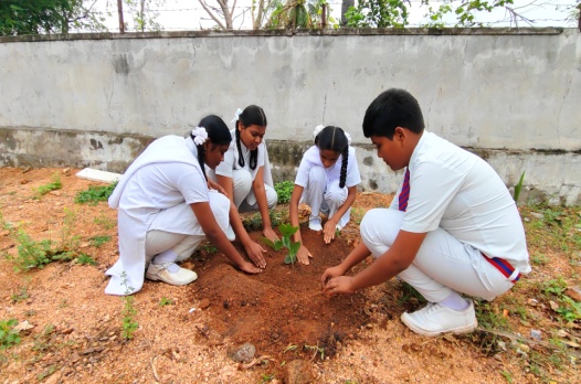 "Green Vibes Only: Pavithratma School Celebrates Vanamahotsava with Joy!"
